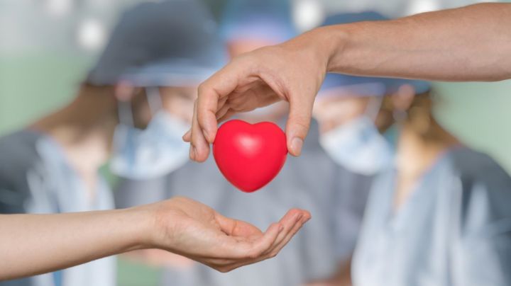 Día Nacional de la Donación de Órganos: Todo lo que necesitas saber