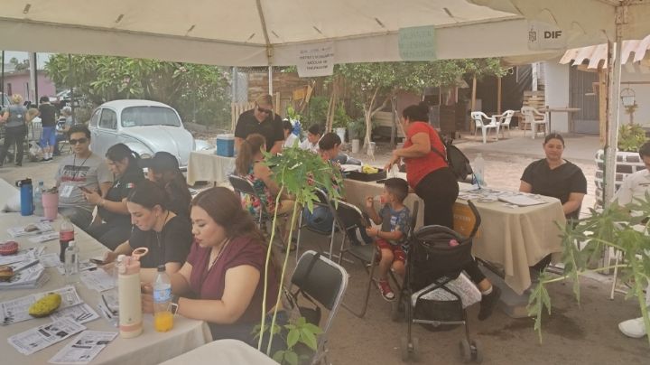 Ciudad Obregón: Benefician a vecinos de la colonia México con Jornada del Bienestar