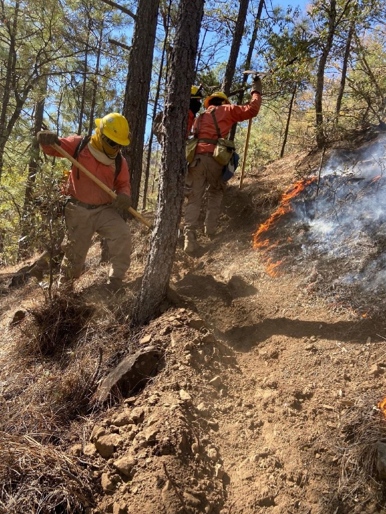 El incendio fue controlado en municipios de la sierra sonorense