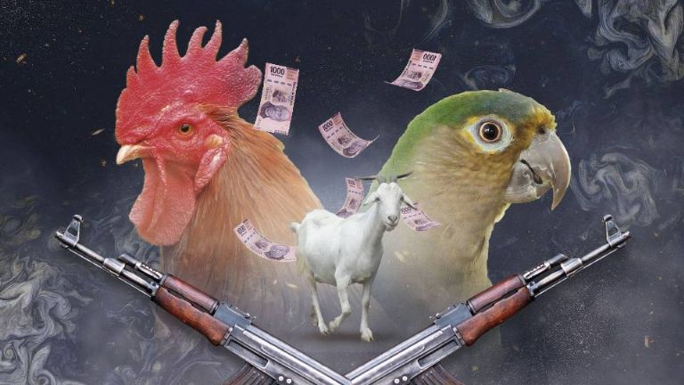 Mónica Garza revela video sobre vínculo de Los Tucanes de Tijuana con crimen organizado