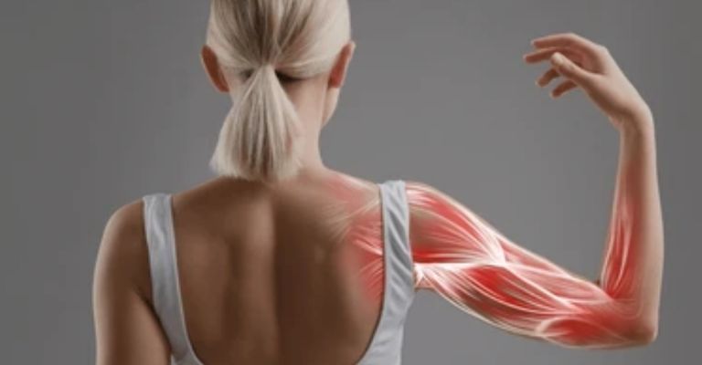 Carne roja esencial para los tejidos del cuerpo