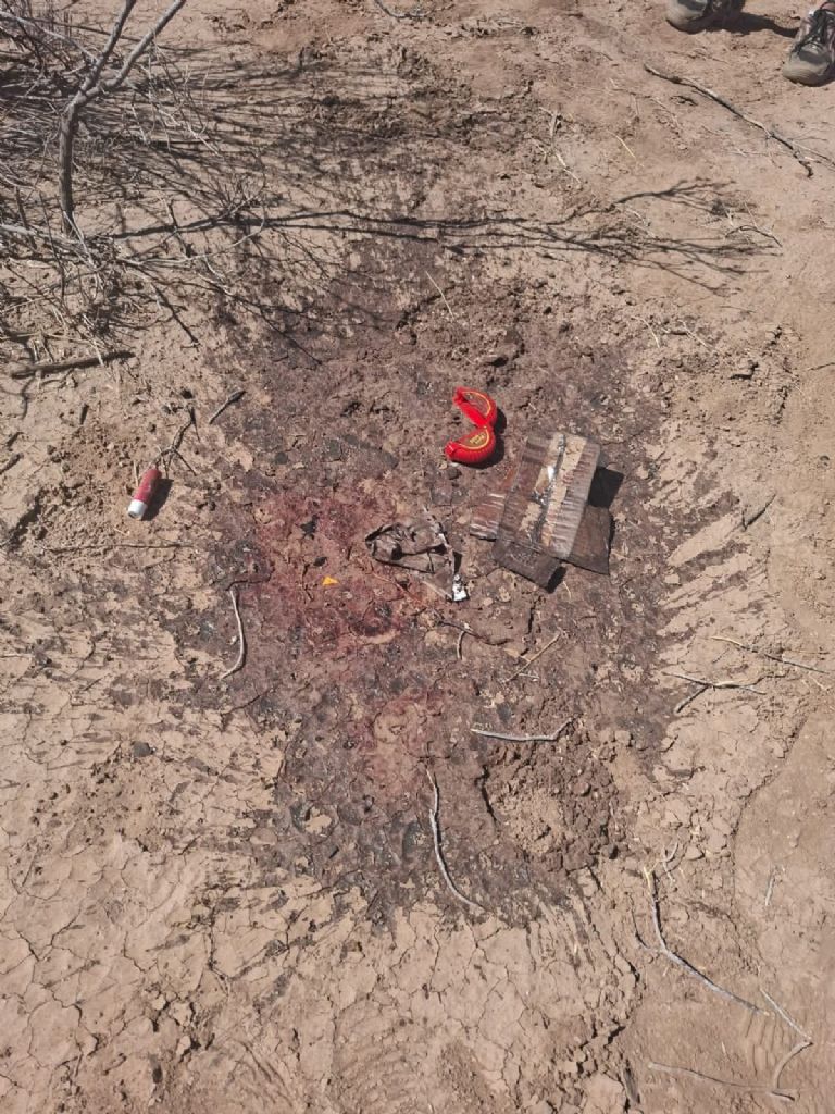 Localizan cuerpo sin vida en Altas, Sonora. Foto: Facebook