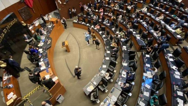 Senado acudirá al TEPJF para impugnar 26 candidaturas si INE omite solicitud