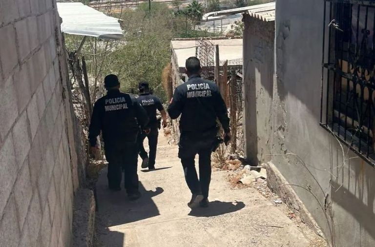 Los agentes municipales realizaron recorridos de búsqueda