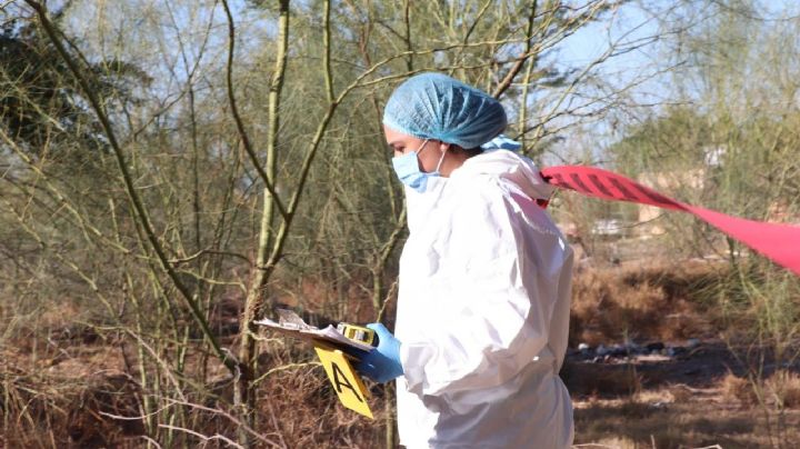 Homicidios en México han bajado 25.8% desde el inicio de Gobierno de Sheinbaum: Sesnsp