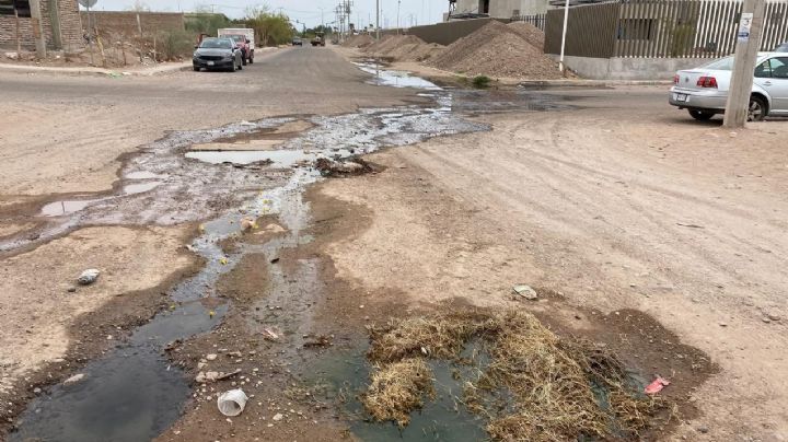 Colonia Tierra Blanca, otra víctima de los drenajes colapsados en Navojoa