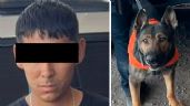 Foto ilustrativa de la nota titulada Detectan 60 envoltorios con narcóticos en Hermosillo con apoyo de canino de la SSP Sonora