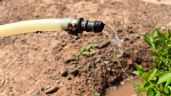 Foto ilustrativa de la nota titulada Pide Canaco multen a quienes desperdicien agua, ante preocupante escasez en Ciudad Obregón