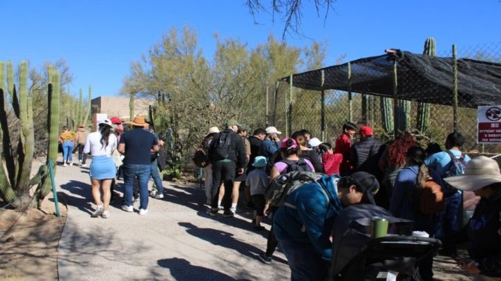 Centro Ecológico de Sonora festejará su 40 aniversario; anuncian actividades gratuitas