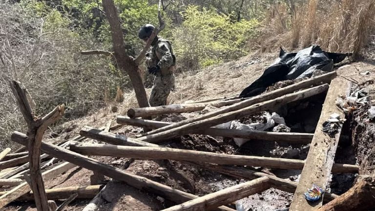 Semar deshabilita dos campamentos con armas y droga en Escuinapa, Sinaloa