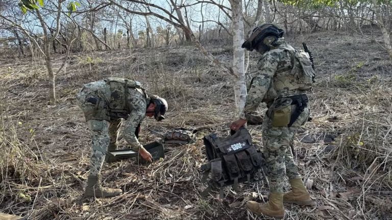 Semar deshabilita dos campamentos con armas y droga en Escuinapa, Sinaloa