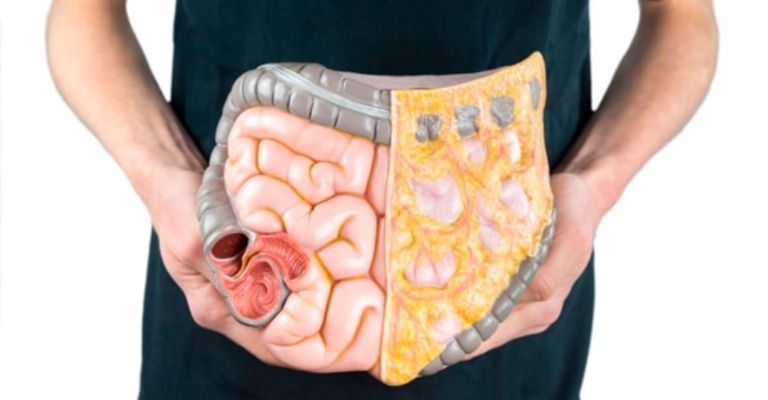 Estimula el movimiento intestinal 