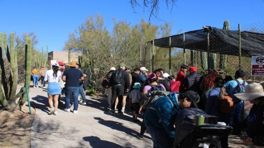 Centro Ecológico de Sonora festejará su 40 aniversario; anuncian actividades gratuitas