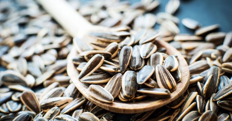 Beneficios curativos que quizás no conocías