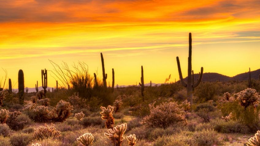 Clima Hermosillo HOY 19 de junio: Continuará calor extremo sin lluvia en Sonora este jueves