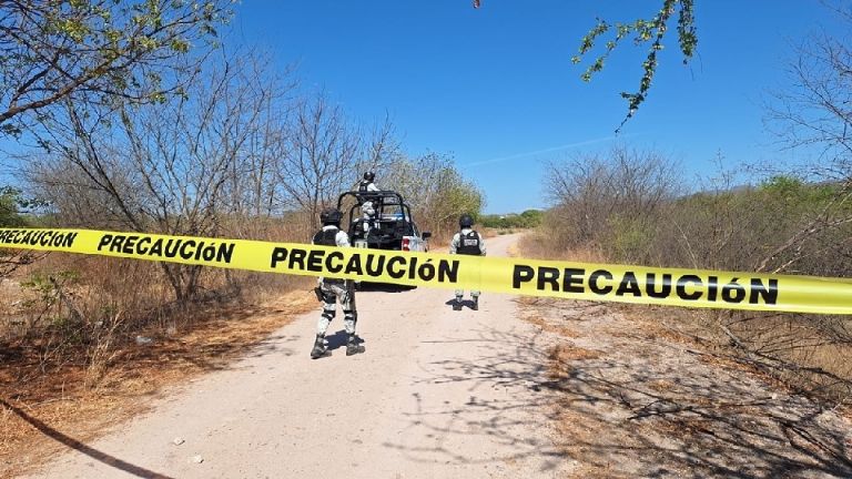 Se presume que fueron ejecutados en el lugar por los casquillos percutidos encontrados de arma larga
