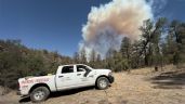 Foto ilustrativa de la nota titulada Incendio forestal consume 2 mil hectáreas en Agua Prieta; logran apagar 80% del fuego