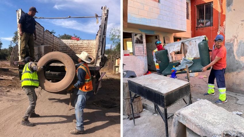 Eliminan toneladas de cacharros cada semana en Cajeme para evitar enfermedades