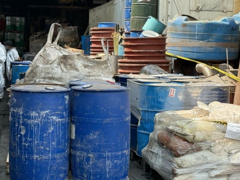 Sustancias destruidas 