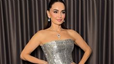 Ana de la Reguera habla sobre su vida amorosa y revela su opinión sobre los inmigrantes