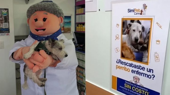 SimiPet Care dará atención veterinaria gratis a perritos rescatados: Conoce los requisitos