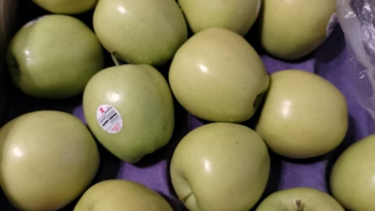 Los alimentos que debes comer en temporada de calor, recomienda nutrióloga