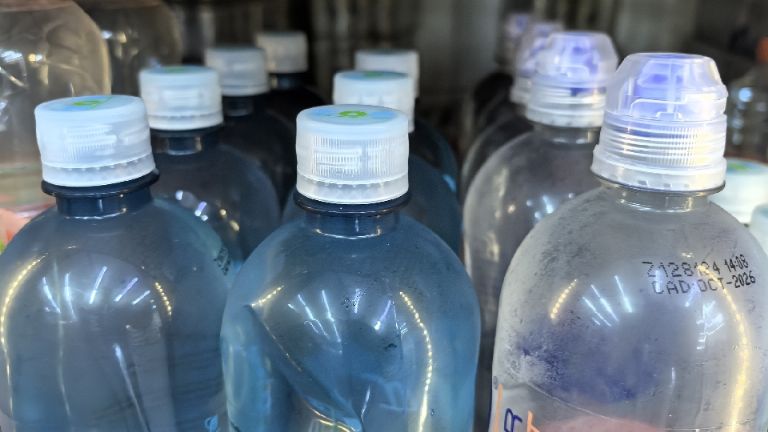 Los alimentos que debes comer en temporada de calor, recomienda nutrióloga