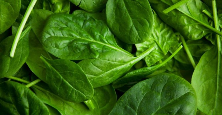 Las espinacas congeladas son mejor que las frescas