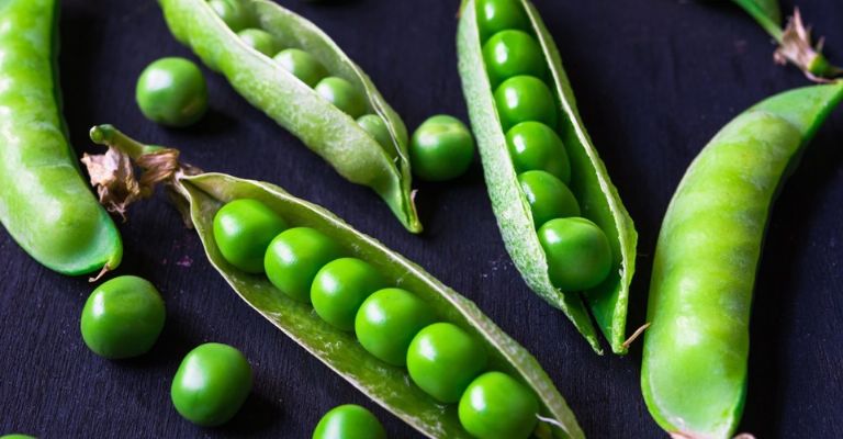 el chicharo congelado conserva sus proteínas