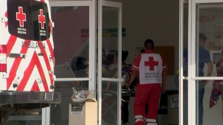 El menor de 12 años presentaba un cuadro avanzado de shock séptico a consecuencia de la mordedura de una garrapata