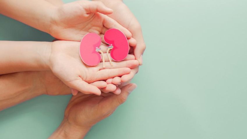 Salud renal infantil: Cómo proteger los riñones de tus hijos desde la infancia, los mejores consejos