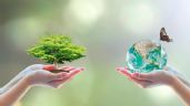 Foto ilustrativa de la nota titulada Día Mundial del Medio Ambiente: Cuál es su origen, porqué se creó y se celebra el 5 de junio