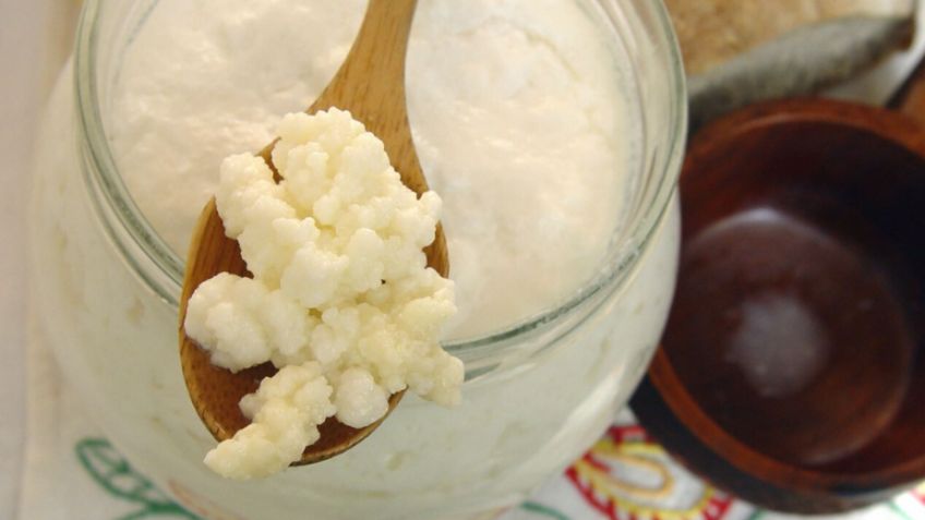 Los búlgaros: Conoce lo beneficios que aportan al cuerpo y la importancia de consumirlos