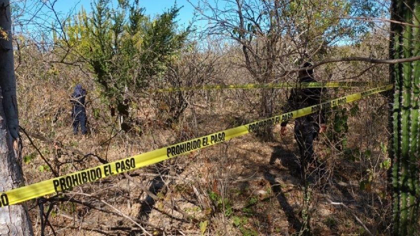 Colectivos hallan cinco fosas clandestinas con dos cuerpos y tres osamentas en Caborca