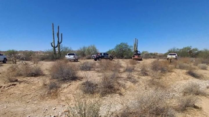 Colectivos de búsqueda unidos localizan 12 osamentas en Norte de Sonora por cuarto día