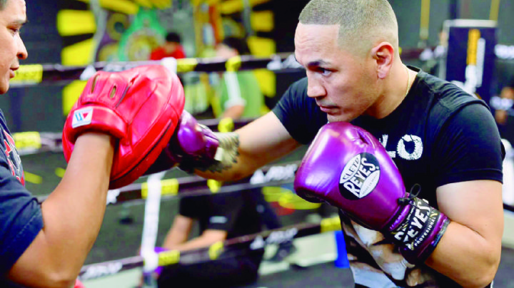 Juan Francisco ‘Gallo’ Estrada se alista para una guerra en el CUM ante el 'Traviesito'