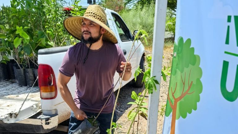 Buenas noticias Miles de árboles están siendo adoptados por cajemenses