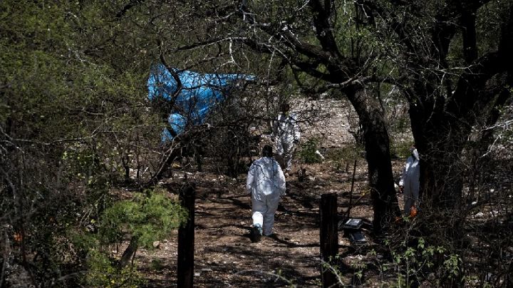 Fiscalía de Tlaxcala: Hallan fosa clandestina con tres cadáveres en Nativitas