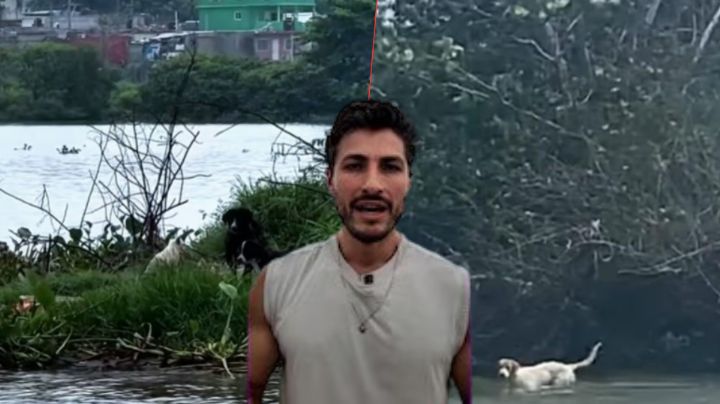 Isla del Abandono: Islote en Veracruz se ve envuelto en caso de maltrato animal