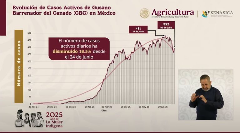 Gobierno de México informa sobre casos del gusano barrenador. Foto: 'Mañanera del Pueblo'