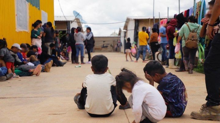 Esclavitud moderna: Rescatan a 700 víctimas de explotación laboral en rancho de Guanajuato