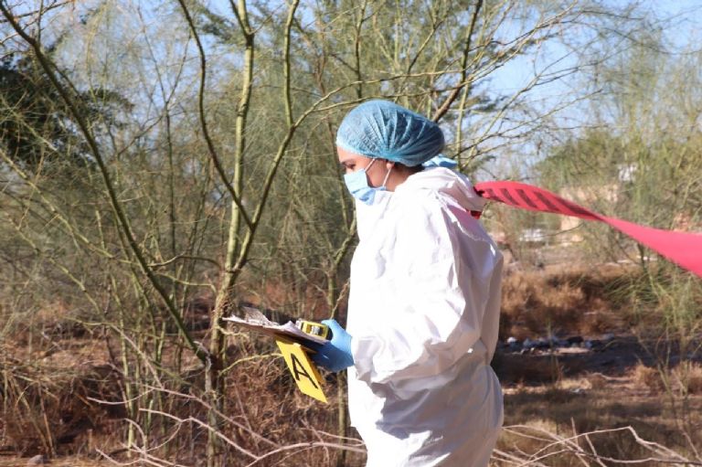 El hallazgo ocurrió el sábado 12 de julio. Foto: Archivo TRIBUNA / Ilustrativa