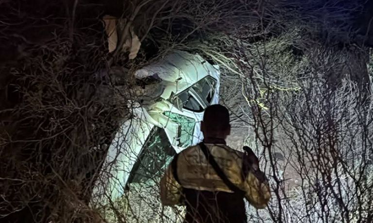 La unidad quedó volcada entre los matorrales