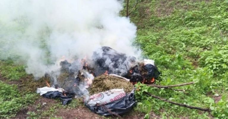 Más de mil 750 litros y kilos de sustancias aseguradas en operativos en Sinaloa