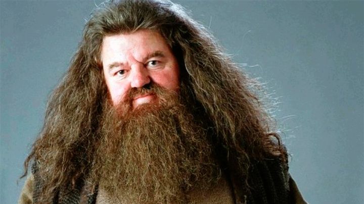 FOTO: Filtran imagen del nuevo 'Hagrid' para la versión de serie de 'Harry Potter'