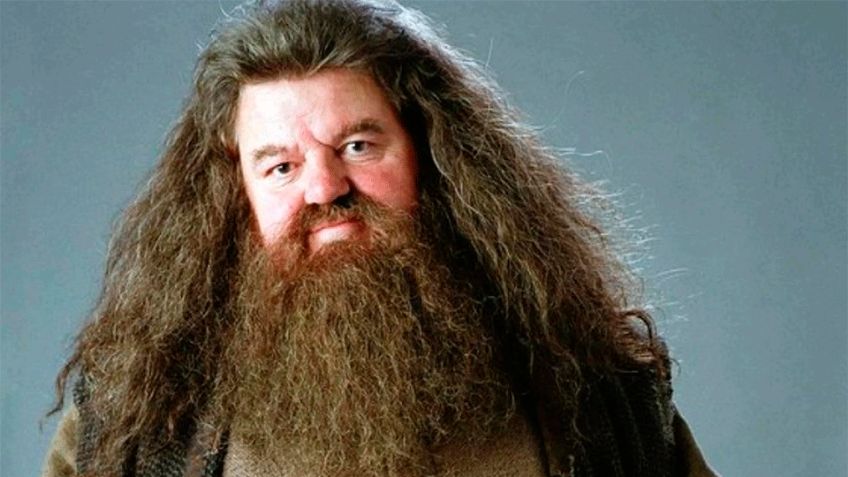 FOTO: Filtran imagen del nuevo 'Hagrid' para la versión de serie de 'Harry Potter'