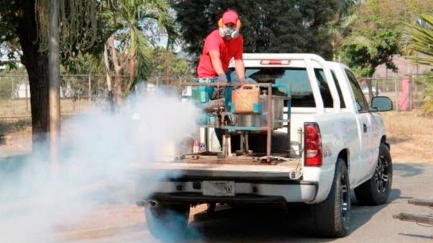 Arranca campaña de fumigación contra moscos en Empalme ante petición de vecinos