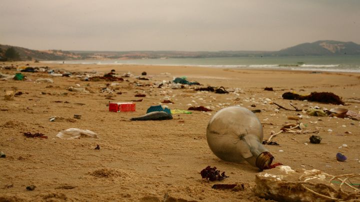 Evita riesgos: Cofepris advierte sobre 16 playas peligrosas para nadar este verano