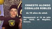 Foto ilustrativa de la nota titulada Activan Alerta Amber en Nogales por joven de 15 años identificado como Ernesto Alonso