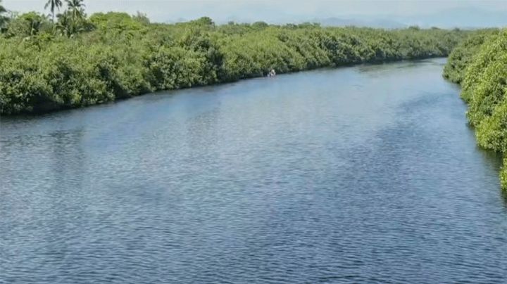 Cocodrilo ataca y devora a un adolescente de 14 años en un manglar de Michoacán